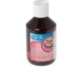Care Antiseptic Mouthwash Aniseed Flavour 300ml