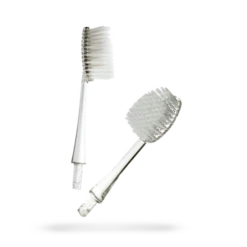 Radius Source Replacement Heads 2-pack