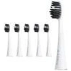 Shine Bright Replacement Ailoria Shine Bright