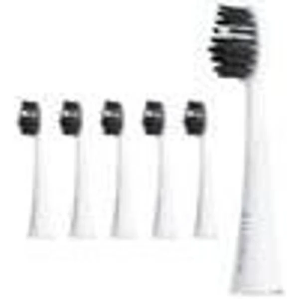 Shine Bright Replacement Ailoria Shine Bright 1 Shine Bright Replacement Ailoria Shine Bright