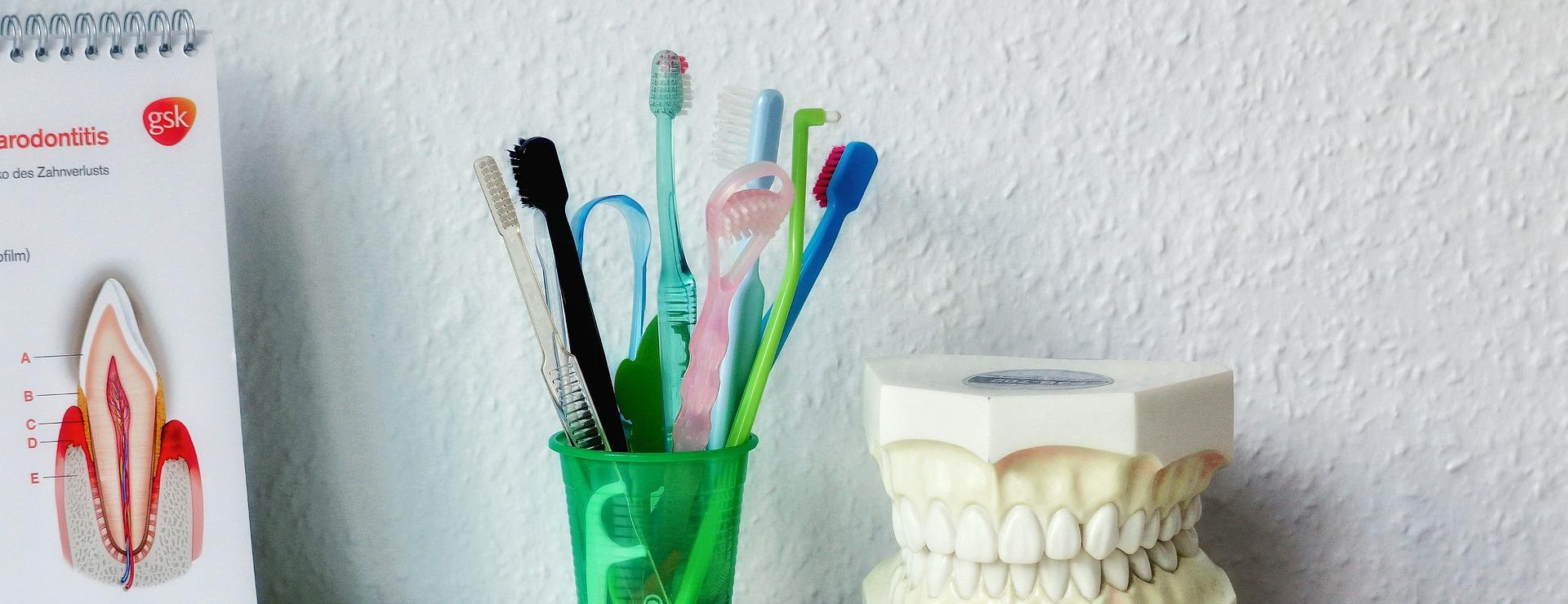 Personal Care Products Store 11 Personal Care Products Store -Personal Care Products Store dental care 5557438 1920